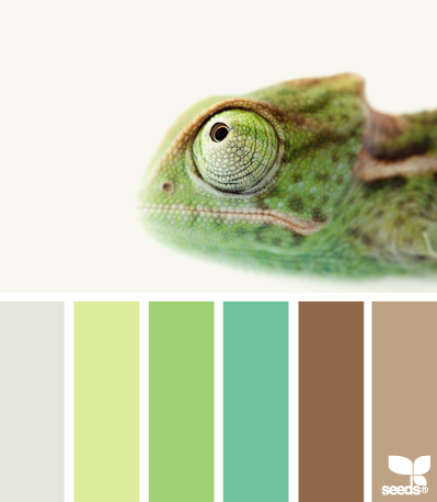ColorProfile ColorProfile