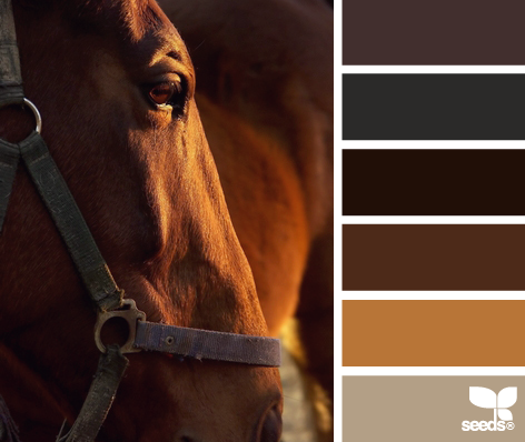 HorseHues