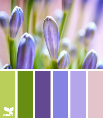 SpringBlooms SpringBlooms