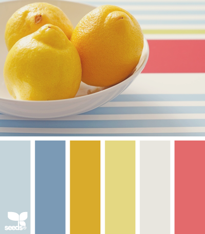 SummerCitrus SummerCitrus