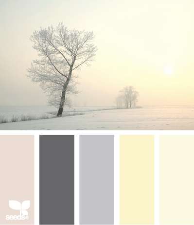 WinterTints WinterTints