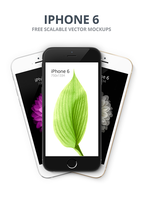 Free iPhone 6 and iPhone 6 Plus Mockup Templates (PSD, AI & Sketch) - Free Download - 27